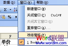 ������WPS���������ɹ̶�ָ�����к���