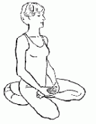 ��ʽ����(ͼ)